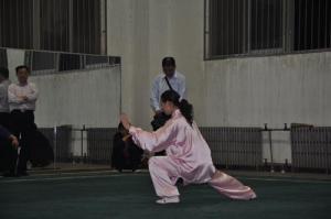2014汇演 (13)