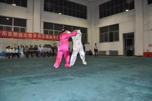 2014汇演 (10)