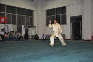 2014汇演 (11)